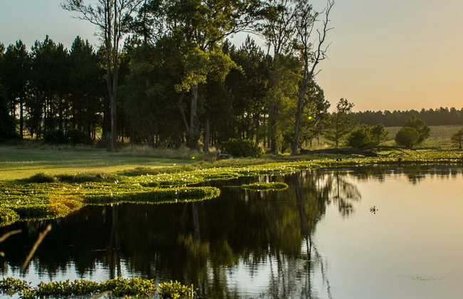 Visita a la Estancia El Ceibo - Foto 1