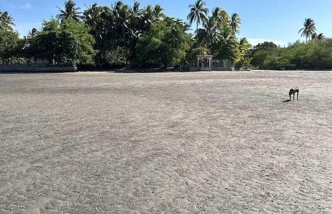 Paradise Bay - Foto 16