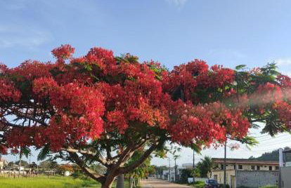 Recanto do Ofurô - Photo 7