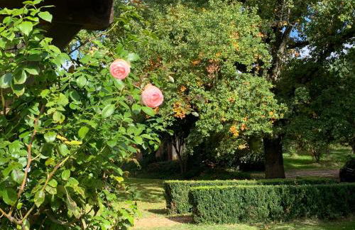 Majellon Grand Appartement - Photo 14