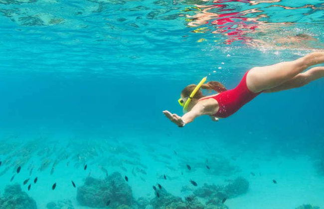 Snorkel en la costa de Marsella - Foto 1
