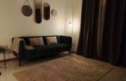 Garça-Real - Foto 22