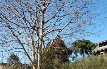 Apartamento Flor de Canela - Foto 24