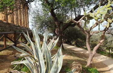 Villa Maresa Home - Photo 40