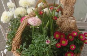 Apartment Ferienwohnung Vogt - Foto 13