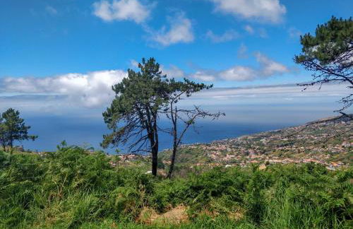 Achadinha - Mountain Cottage - Photo 14