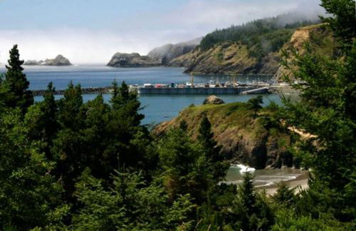 Stunning Cabin Rental with Incredible Ocean Views along the Oregon Coast - Foto 8