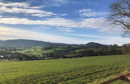 Maytree Cottage. Compact home in Mid Wales. - Foto 6