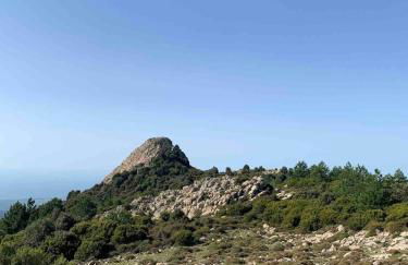 Ale house experience - Foto 8