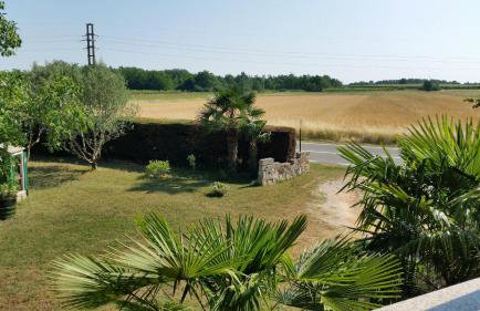 Apartments Davor - Photo 27