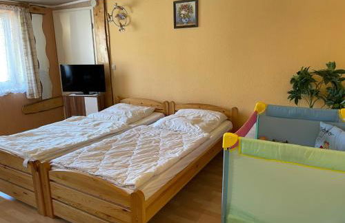 Apartment Old Hüsung - MUZ321 by Interhome - Photo 11