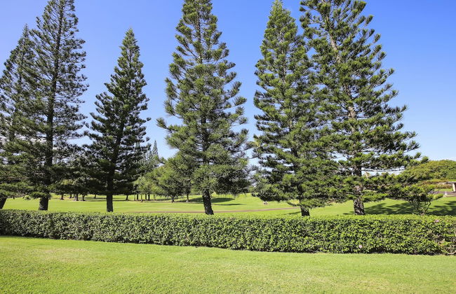 Turtle Bay Fazio First Tee 13***nuc 90-tvu-0579 1 Bedroom Condo by RedAwning - Foto 1