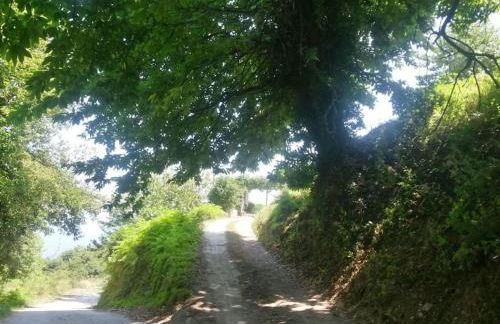 Xrysanthi's dream house - Foto 59