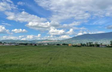 PalmHouse Cristian - Foto 17