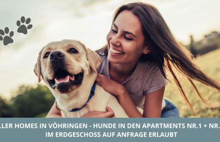 Iller Homes - 5 x Moderne Fewos je 1bis2 oder 1bis4 Pers mit Küche u Balkon - Parkplätze vorhanden - Foto 67