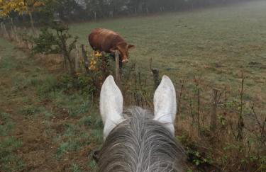 logement jusqu'à 8 lits dans un centre équestre grand parking - Foto 44