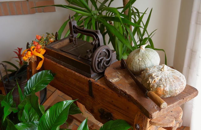 Agriturismo Il Cascinale - Photo 33