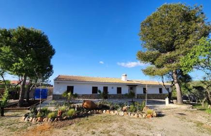 Agroturismo Viña Inés Toledo - Photo 24