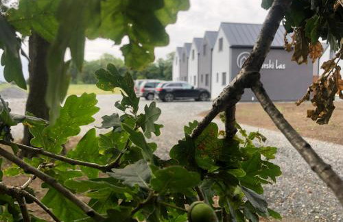 Morski Las - Foto 11