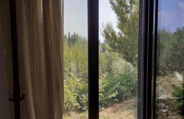 Corfu Cosy Apartment by the Nature - Foto 16