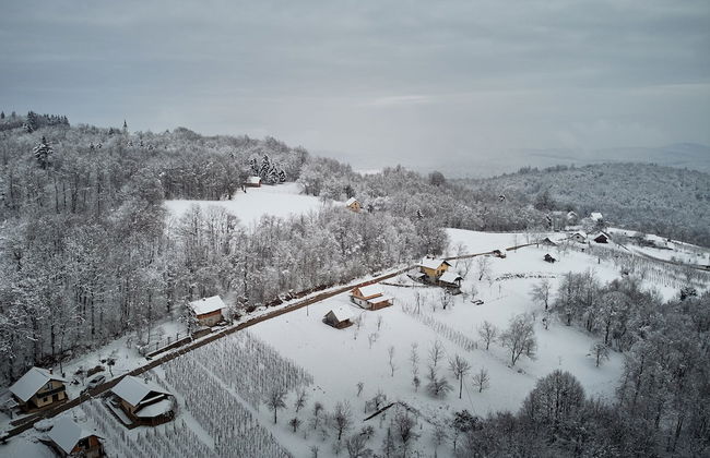 Princess's vineyard cottage - Foto 20