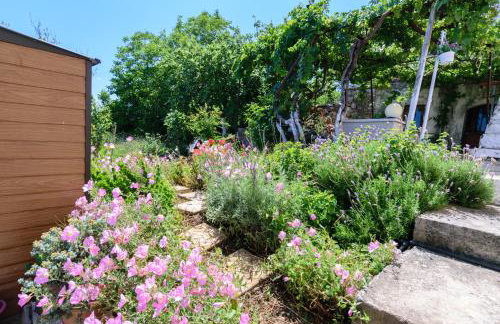 Casa Vasilia Traditional Home - Photo 36