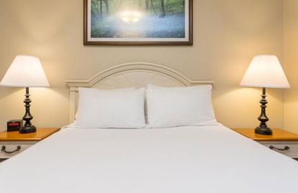 Massanutten Resort - Foto 14