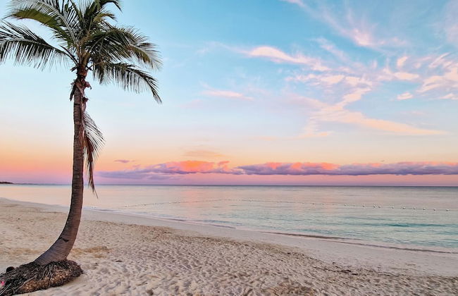 NEW Stunning Beachfront Condo at the Coral Beach - Foto 56