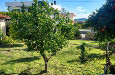 Anastasia's garden house - Foto 45