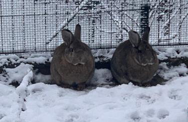 Quartier22 - Ferienwohnung mit Altstadtblick - Foto 30