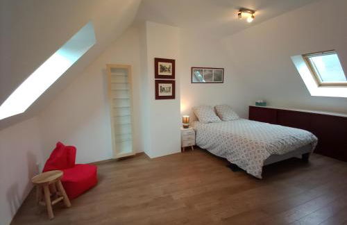 DOMAINE DES TISSEYS vue sur le Mont St Michel - Foto 35