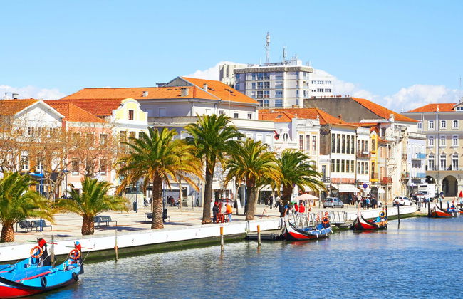 Tour por Costa Nova + Salinas + Paseo en barco moliceiro - Foto 1