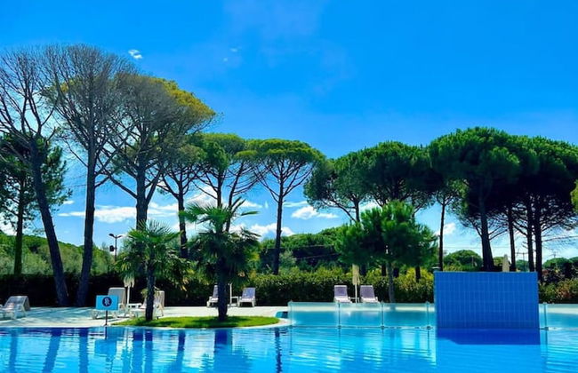 Garden View Apartment - Karafili - Photo 28