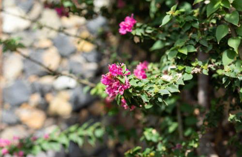 La Pestilla 1 - Charming rustic house, El Hierro - Foto 34