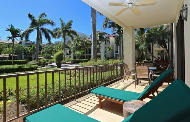 Pacifico L1002 Keeling - Foto 11