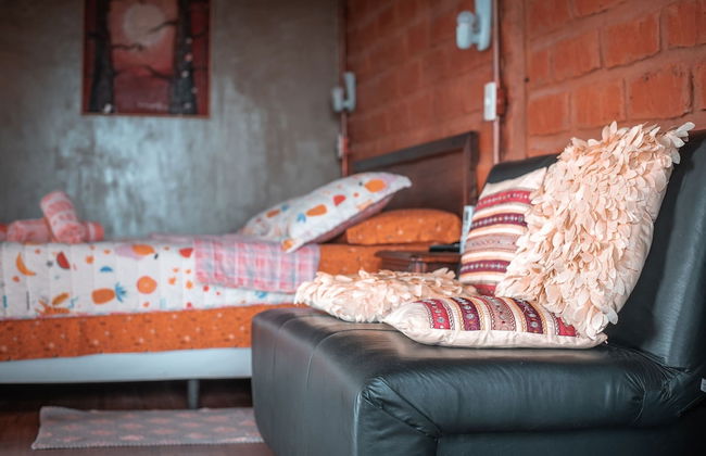 MORRO DA LUZ - Foto 7