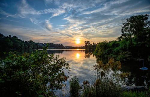 Bright Downtown Asheville Apt with Balcony, Walk Everywhere - Foto 31