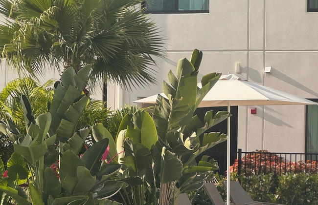 Governors Village Seven Mile Beach Corridor - Foto 49