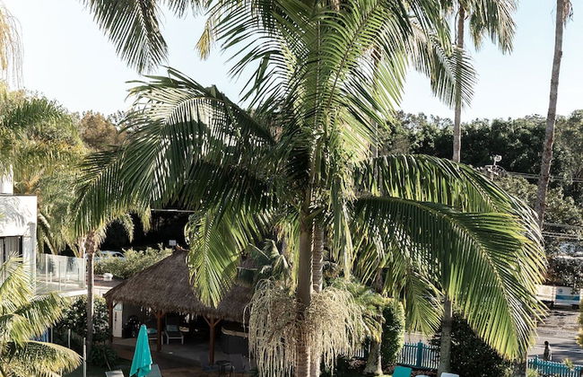 Terrigal Pacific Coastal Retreat - Photo 62