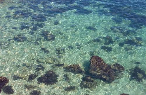 TARONGERS 6 - Foto 11