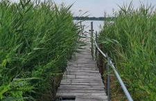 Ferienhaus Jagomast - Photo 2