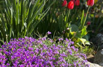 Comfortable 4BR stay in Bourne, Free Parking, Sleeps 7, Families & Contractors Welcome - Foto 43