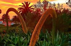 Finca La Principal - Foto 117