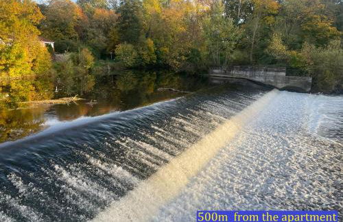 Attraktive 3 Zimmer Wohnung in Toplage,Nähe Messe - Foto 22