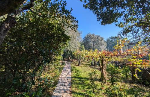 Casa do Valo - Foto 74