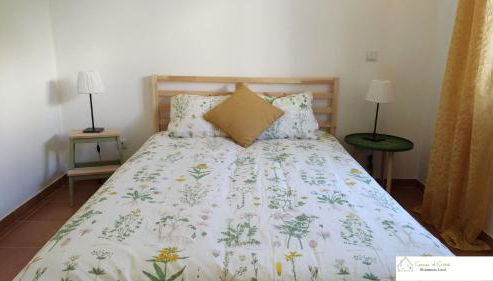 Casa D'Avó (R/C) - Photo 5