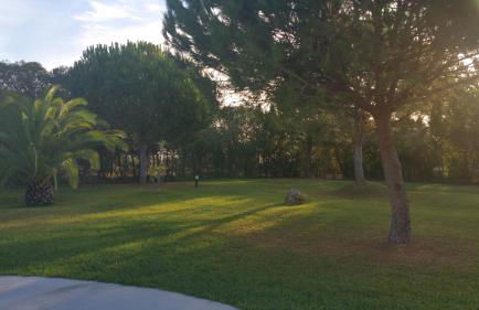 Apartamentos Clube da Bemposta - Photo 45