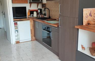 Gréolières les Neiges Studio 4 personnes - Foto 3