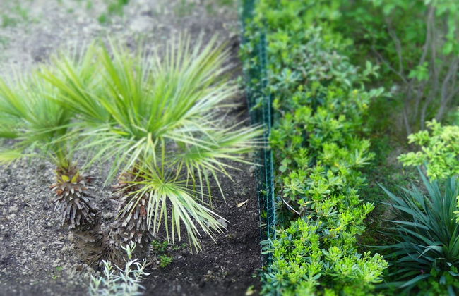 Villetta Puccini 121 - Foto 28