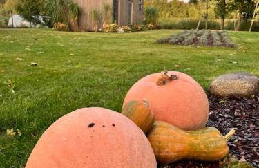 Niebieski Domek nad jeziorem Mazurskie klimaty - Foto 27